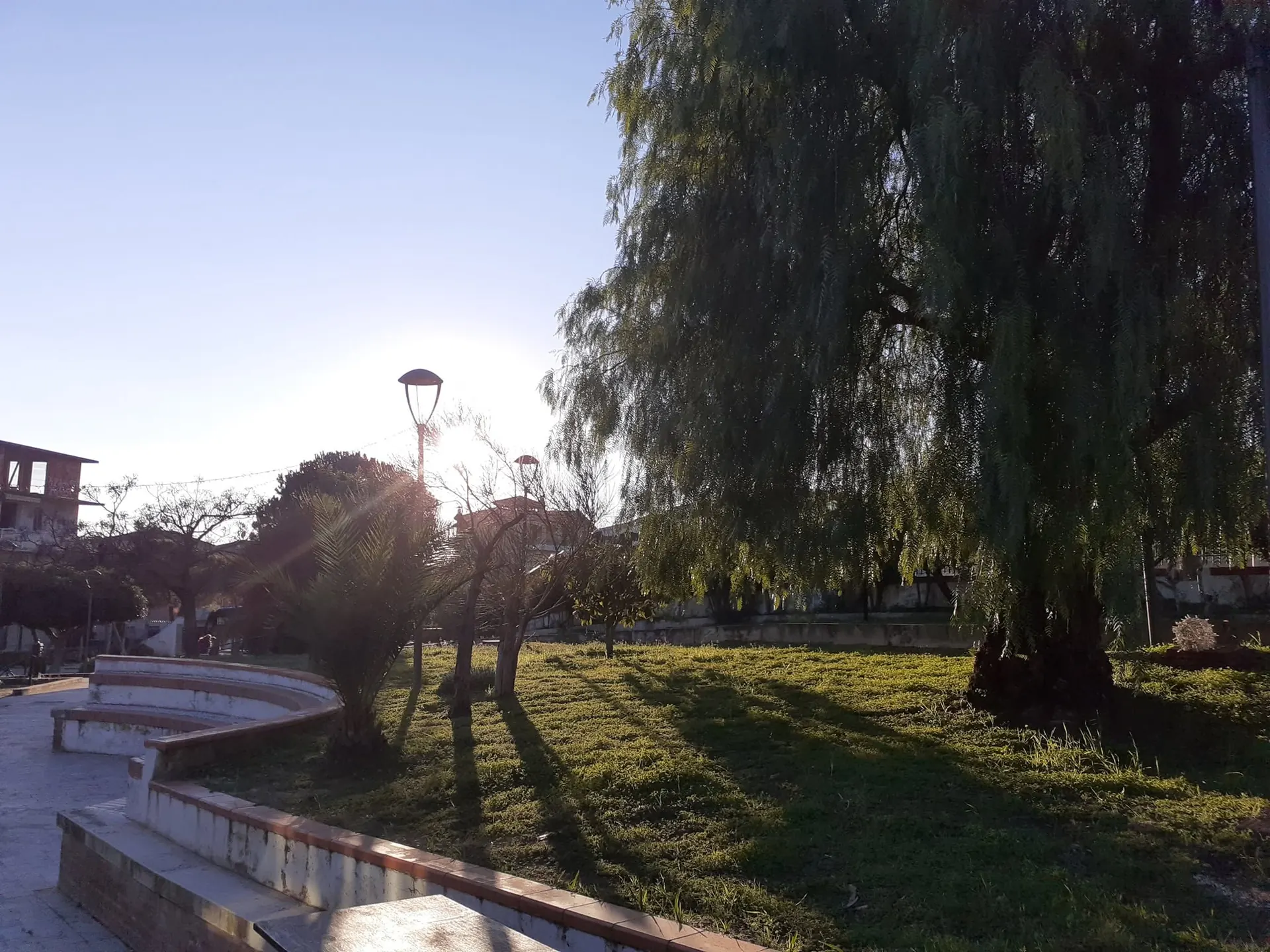 Il salice e il prato del parco di Heaven in una giornata di sole